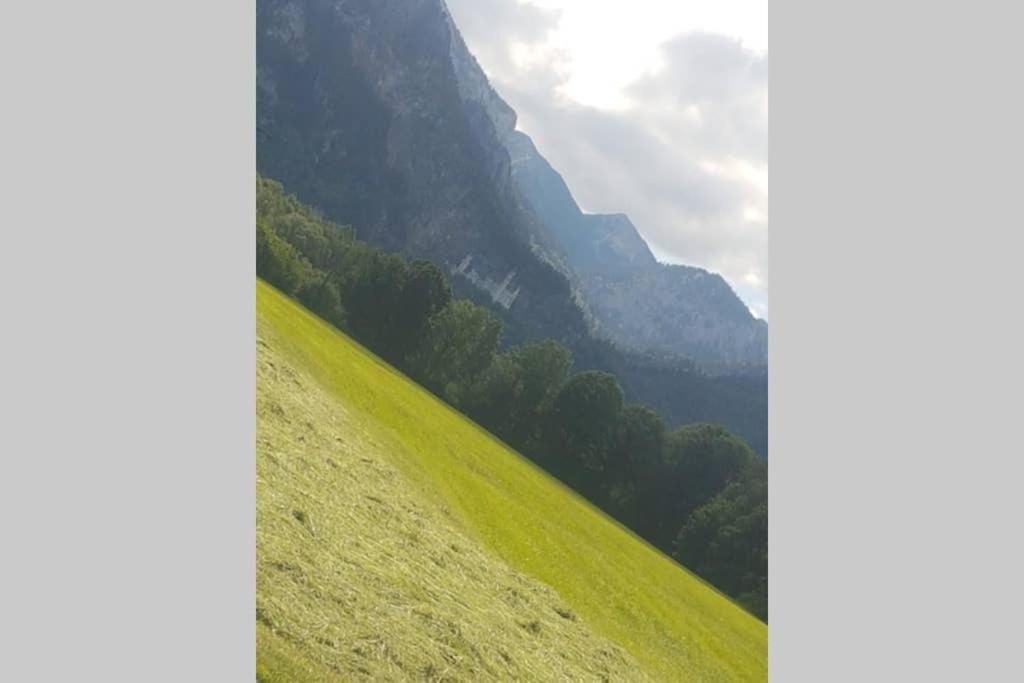 Lejlighed Alpen Sunshine Füssen